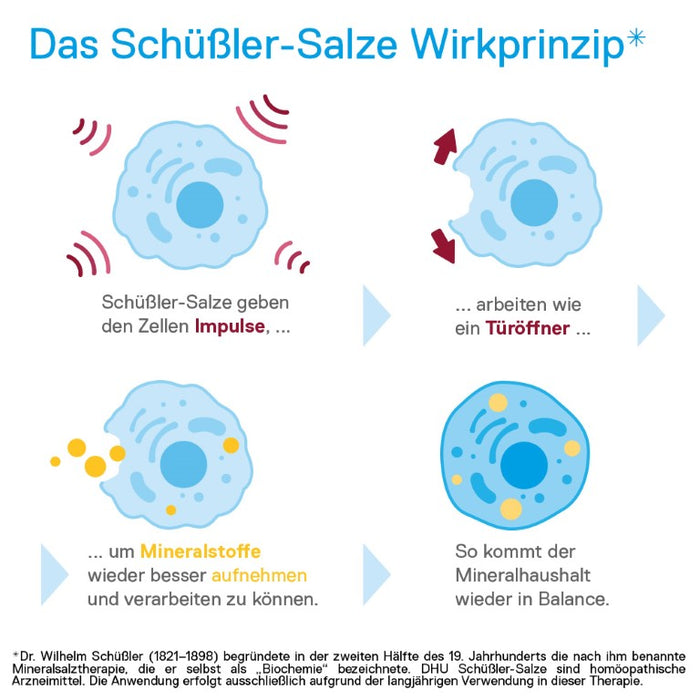 DHU Schüßler-Salz Nr. 4 Kalium chloratum D6 – Das Mineralsalz der Schleimhäute – das Original – umweltfreundlich im Arzneiglas, 80 St. Tabletten