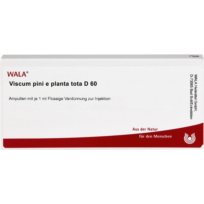 Viscum Pini e planta tota D60 Wala Ampullen, 10X1 ml AMP