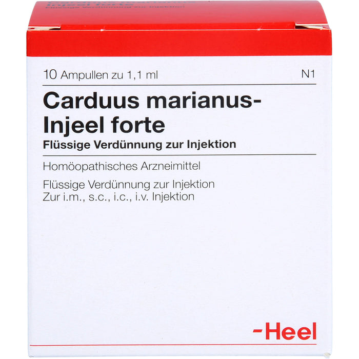 Carduus marianus Injeel forte Amp., 10 St AMP