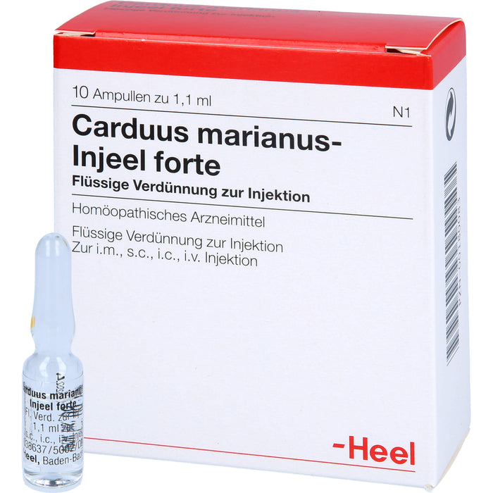 Carduus marianus Injeel forte Amp., 10 St AMP