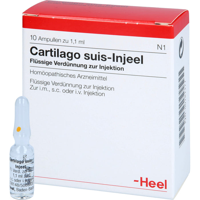 Cartilago suis-Injeel Ampullen, 10 pc Ampoules