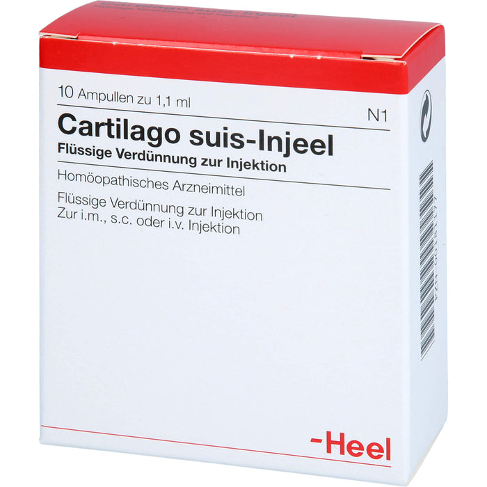 Cartilago suis-Injeel Ampullen, 10 pcs. Ampoules