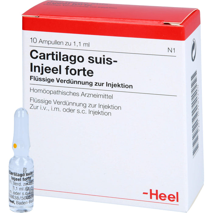 Cartilago suis-Injeel forte Inj.-Lsg., 10 St AMP