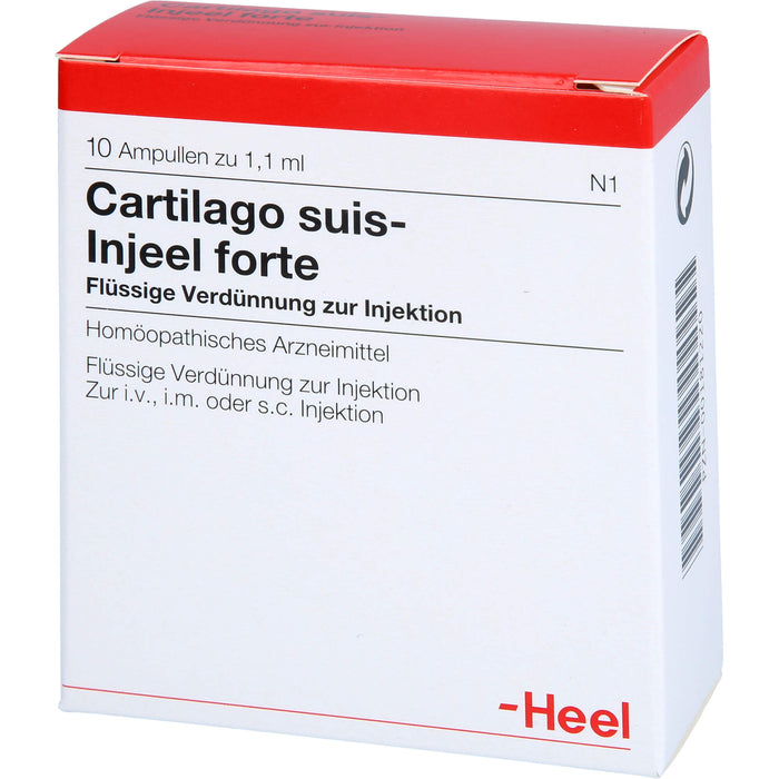 Cartilago suis-Injeel forte Inj.-Lsg., 10 St AMP