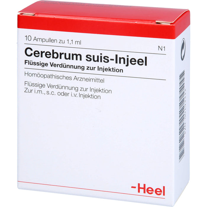 Cerebrum suis-Injeel flüssige Verdünnung, 10 pc Ampoules