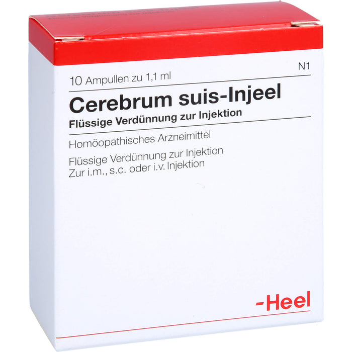 Cerebrum suis-Injeel flüssige Verdünnung, 10 pc Ampoules