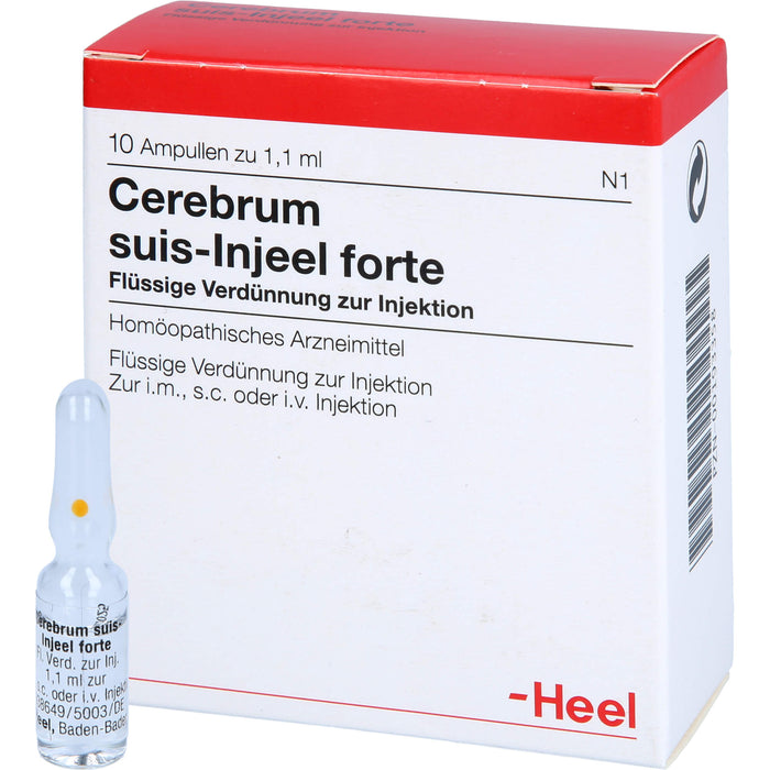 Cerebrum suis-Injeel forte Inj.-Lsg., 10 St AMP