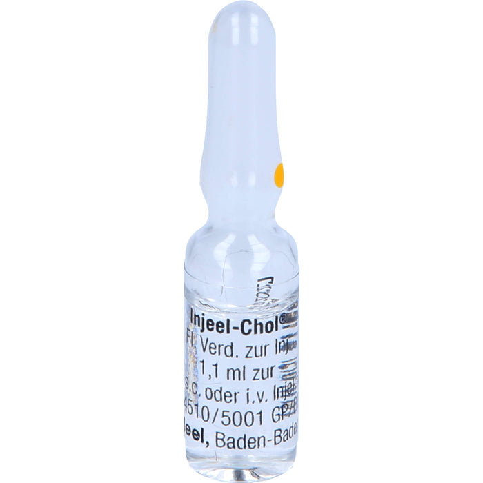 Heel Injeel-Chol flüssige Verdünnung zur Injektion, 10 pcs. Ampoules