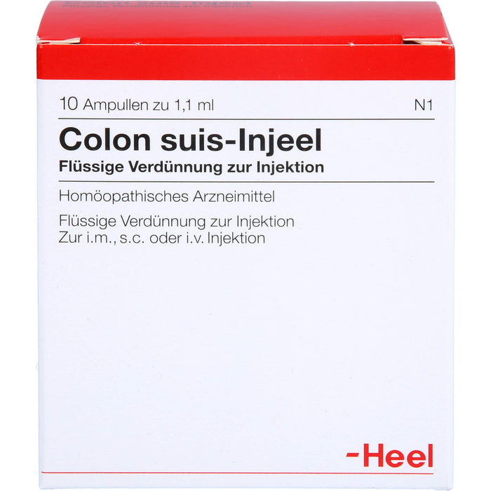 Heel Colon suis-Injeel flüssige Verdünnung, 10 St. Ampullen