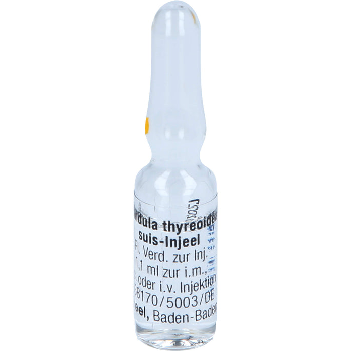 Glandula thyreoidea suis-Injeel flüssige Verdünnung, 10 pcs. Ampoules