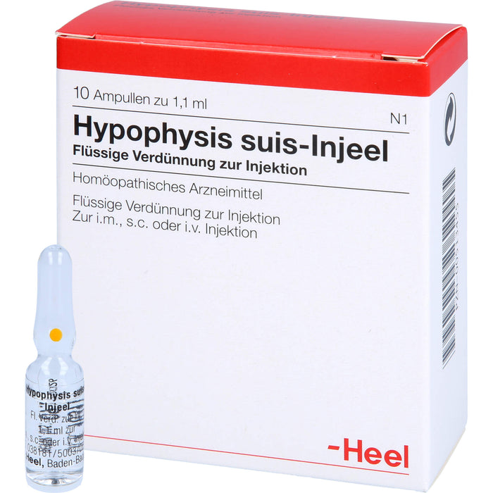 Hypophysis suis-Injeel flüssige Verdünnung, 10 pc Ampoules