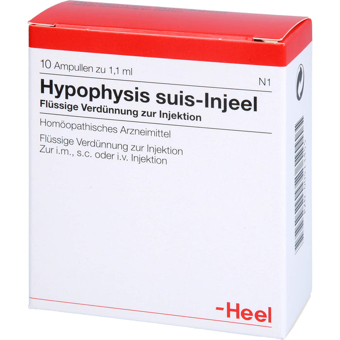 Hypophysis suis-Injeel flüssige Verdünnung, 10 pcs. Ampoules