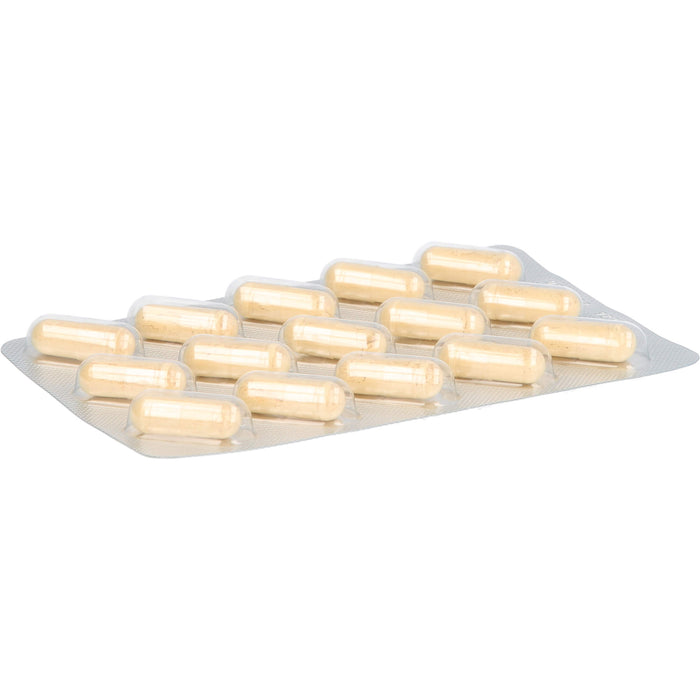 Silymarine Leberschutz-Kapseln, 60 pcs. Capsules