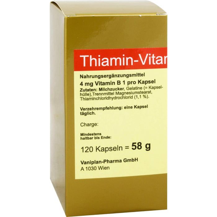 FBK-Pharma Thiamin-Vitamin B1 Kapseln, 120 pcs. Capsules