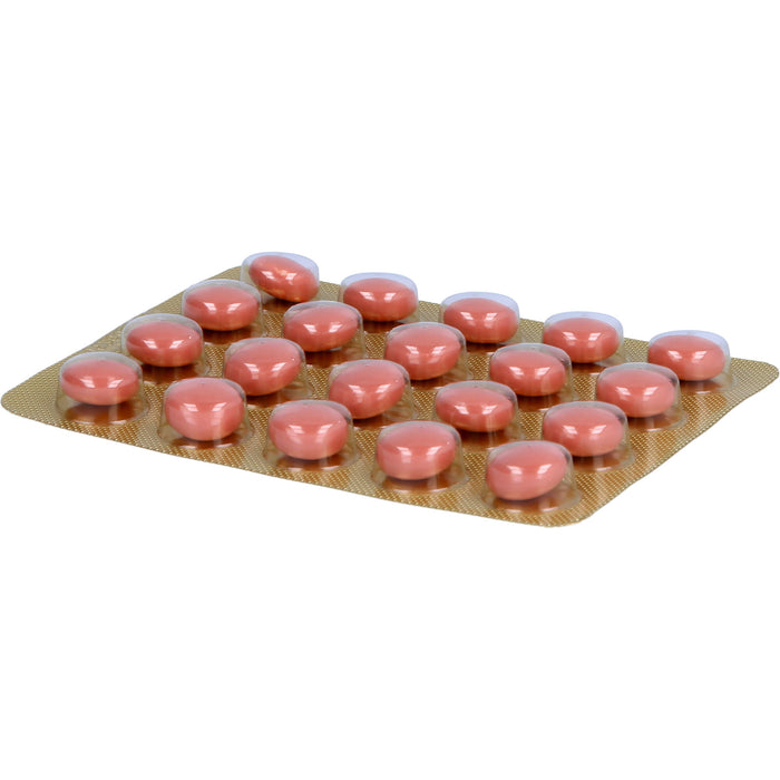 Enzym-Wied N Dragees, 500 pcs. Tablets