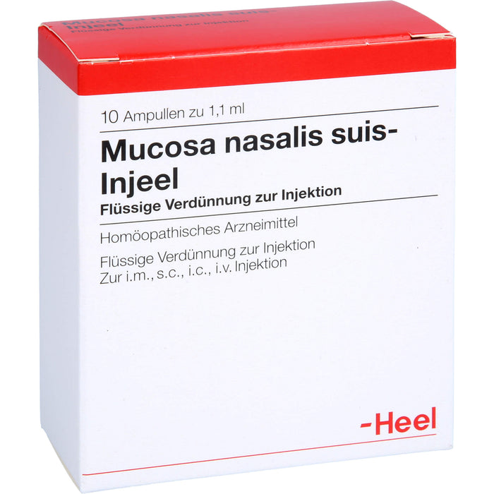 Mucosa nasalis suis-Injeel Inj.-Lsg., 10 St AMP