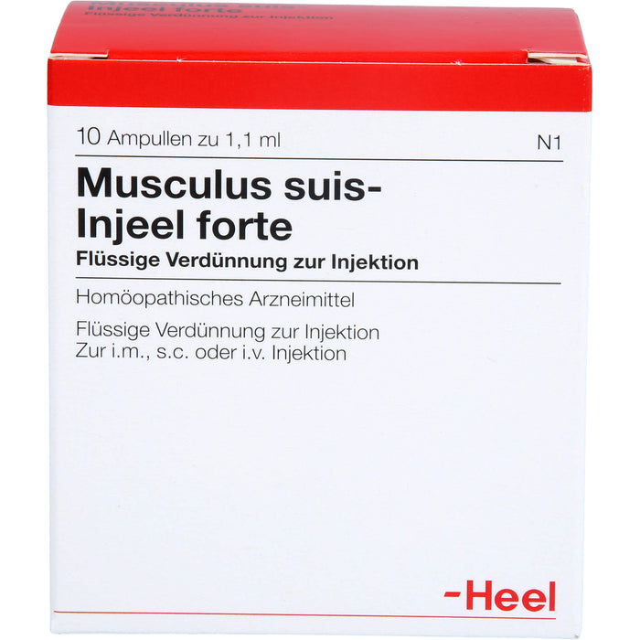Musculus suis-Injeel forte flüssige Verdünnung, 10 St. Ampullen