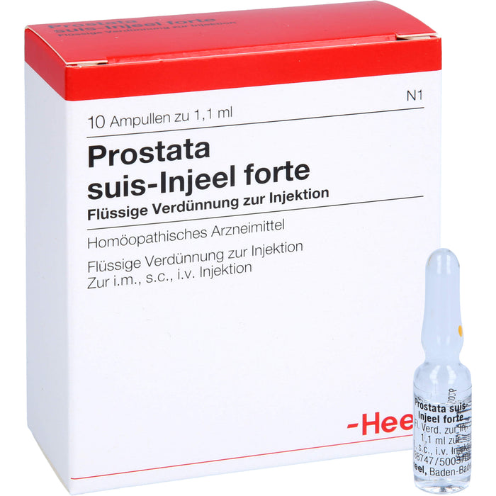 Prostata suis-Injeel forte Injektionslösung, 10 pcs. Ampoules