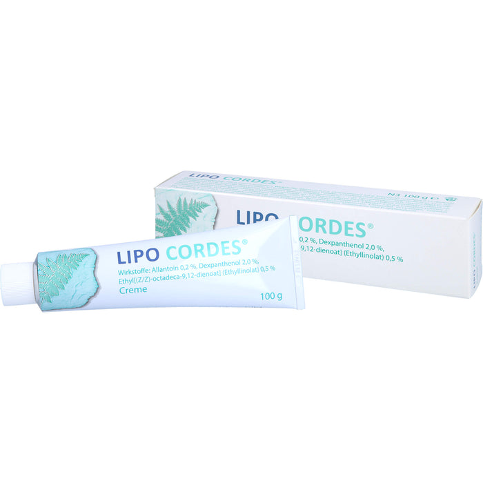 LIPO CORDES Creme bei fettarmer Haut, 100 g Cream