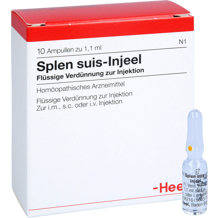 Heel Splen suis-Injeel flüssige Verdünnung, 10 pc Ampoules