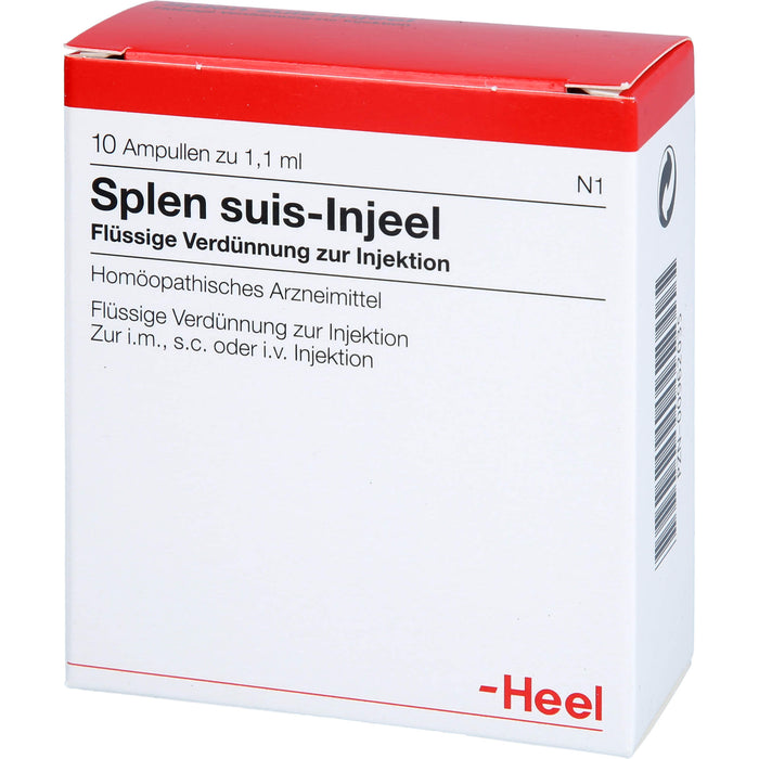 Heel Splen suis-Injeel flüssige Verdünnung, 10 pc Ampoules