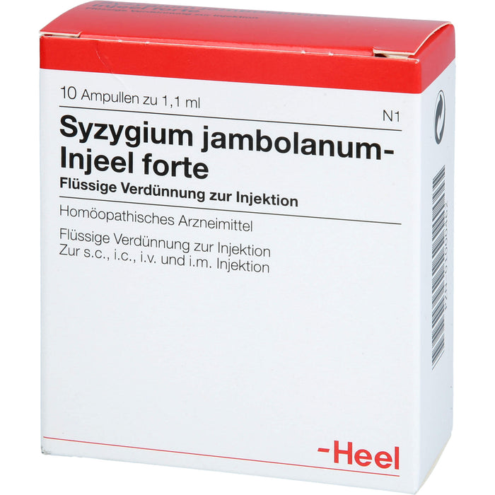 Syzygium jambolanum Injeel forte Amp., 10 St AMP