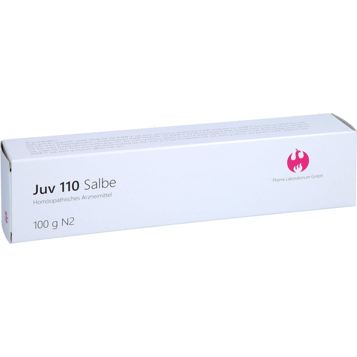 Juv 110 Salbe, 100 g Ointment