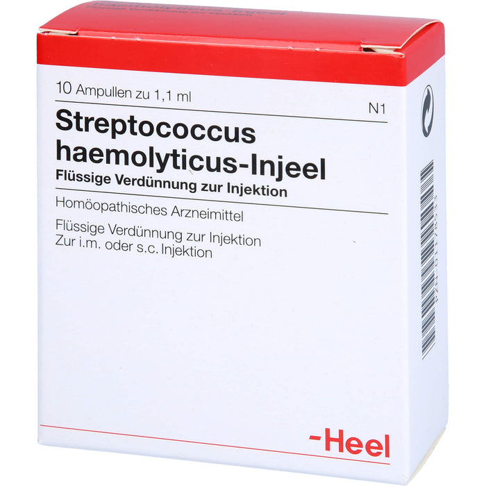 Streptococcus haemolyticus-Injeel flüssige Verdünnung, 10 pc Ampoules