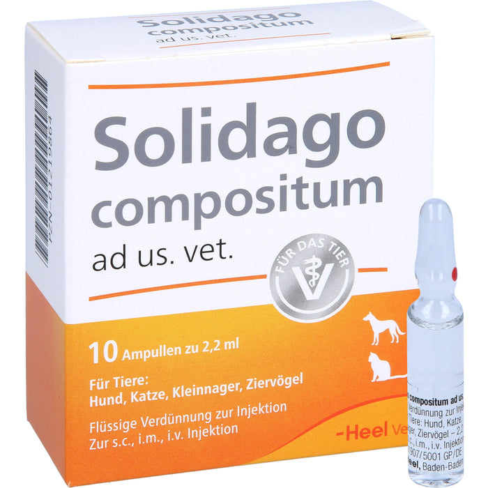 Solidago compositum ad us. vet. Ampullen für Tiere, 10 pc Ampoules