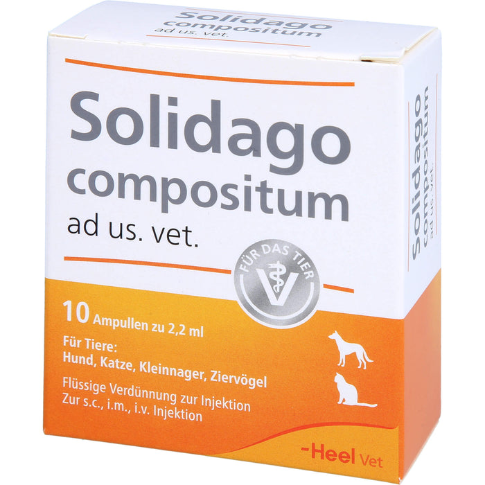 Solidago compositum ad us. vet. Ampullen für Tiere, 10 St. Ampullen