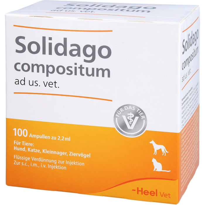 Heel Solidago compositum ad us. vet. flüssige Verdünnung zur Injektion, 100 pc Ampoules