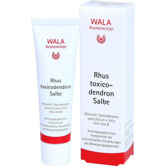 WALA Rhus toxicodendron Salbe, 30 g Onguent