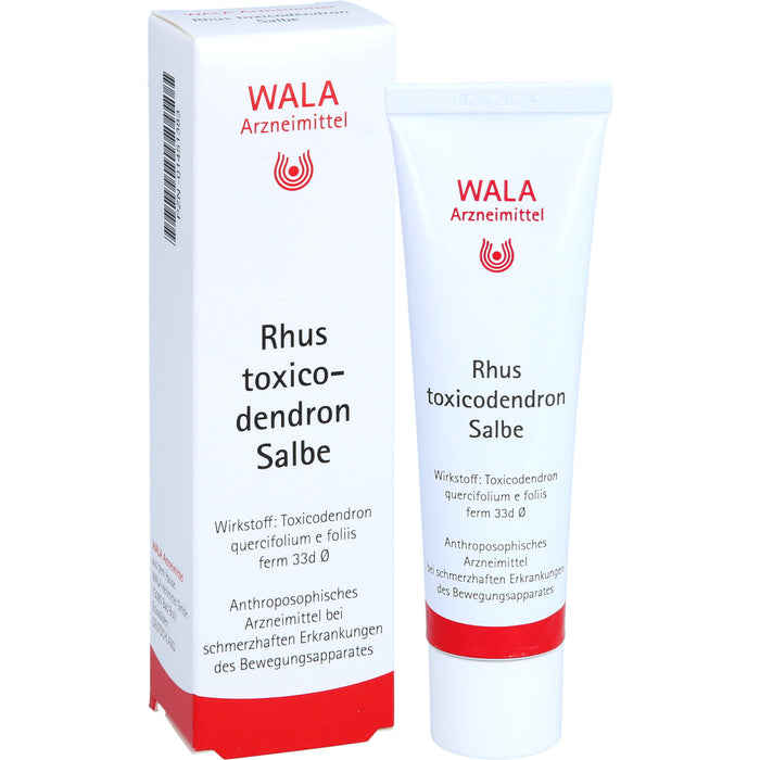 WALA Rhus toxicodendron Salbe, 30 g Onguent