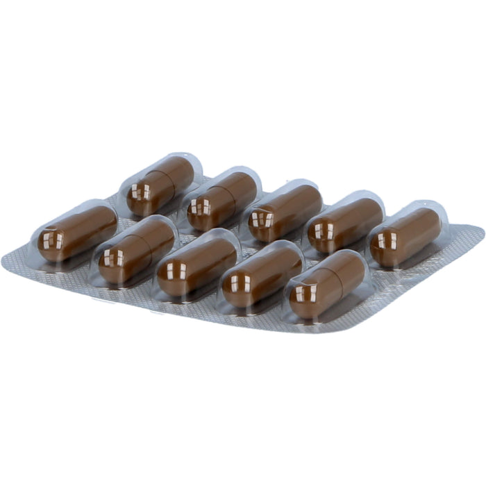 Essentiale Kapseln 300 mg bei akuten und chronischen Lebererkrankungen, 250 pcs. Capsules