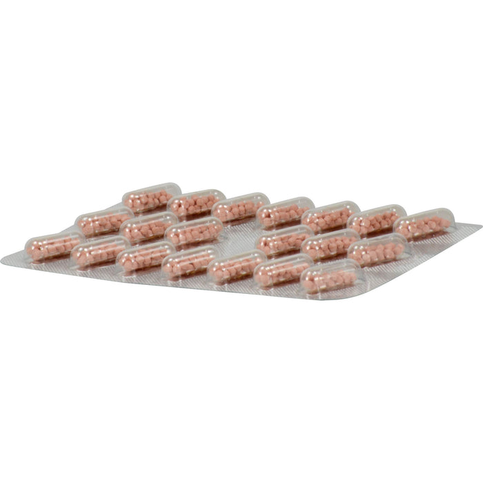 Keltican forte Kapseln, 40 pcs. Capsules