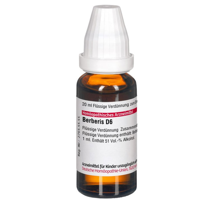 DHU Berberis D6 Dilution, 20 ml Lösung