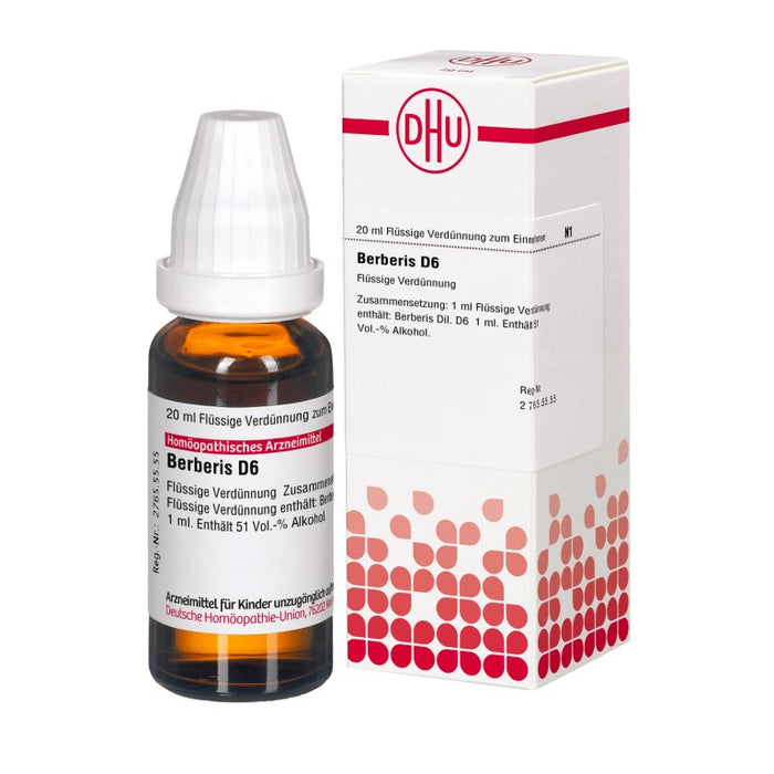 DHU Berberis D6 Dilution, 20 ml Lösung