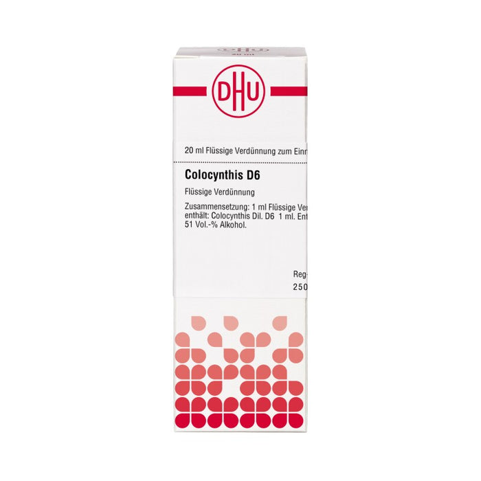 Colocynthis D6 DHU Dilution, 20 ml Lösung