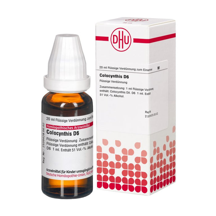 Colocynthis D6 DHU Dilution, 20 ml Lösung