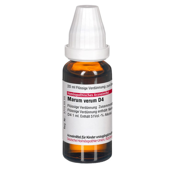 DHU Marum verum D4 Dilution, 20 ml Lösung