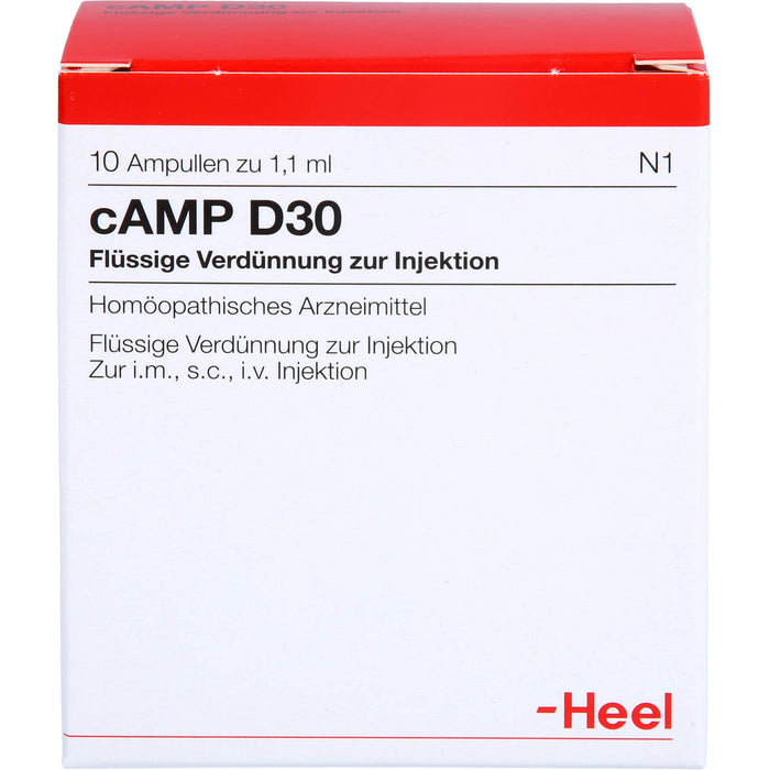 cAMP D30, 10 St AMP