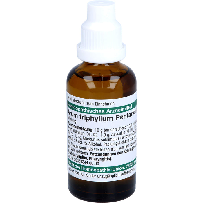 Arum triphyllum Pentarkan H Dilution, 50 ml Lösung