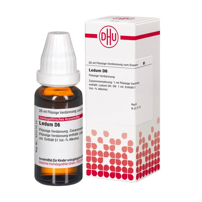 DHU Ledum D6 Dilution, 20 ml Lösung