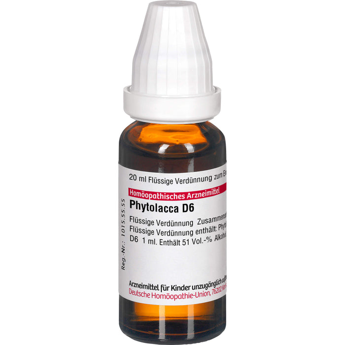 DHU Phytolacca D6 Dilution, 20 ml Lösung