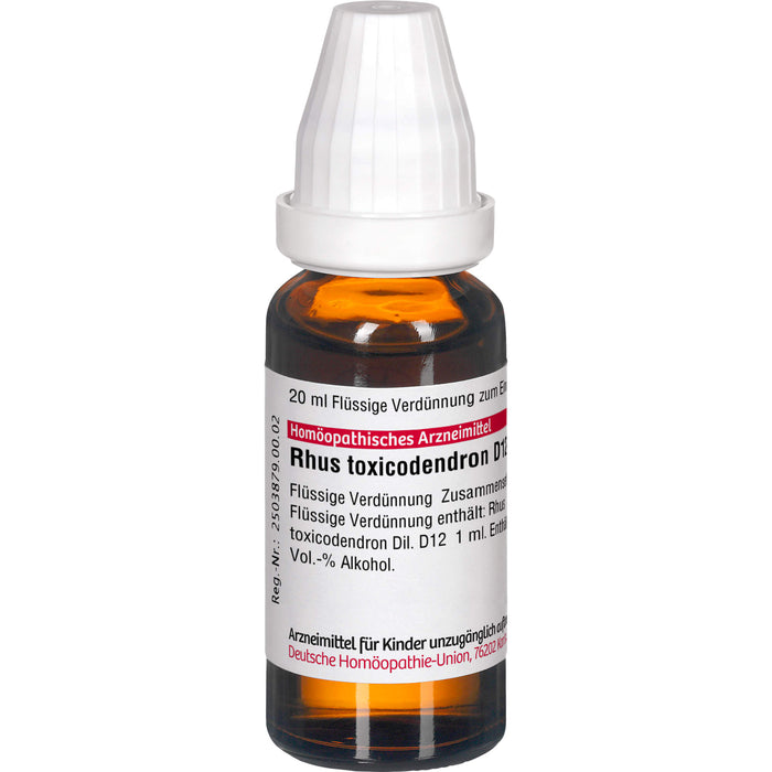 DHU Rhus toxicodendron D12 Dilution, 20 ml Lösung