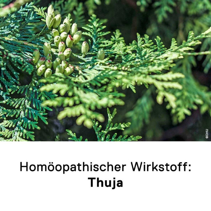 DHU Thuja Extern, 20 ml Lösung