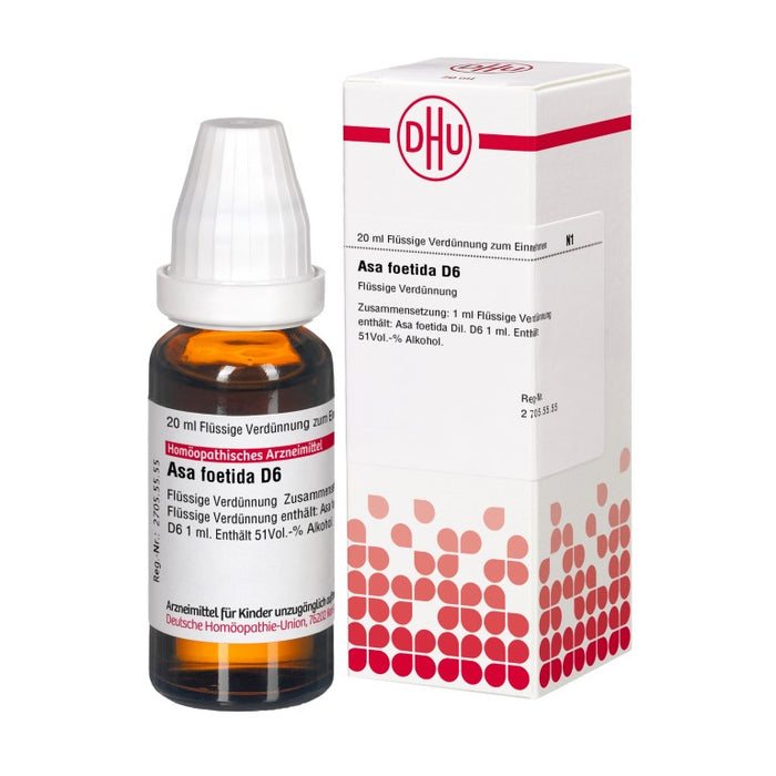 DHU Asa foetida D6 Dilution, 20 ml Lösung