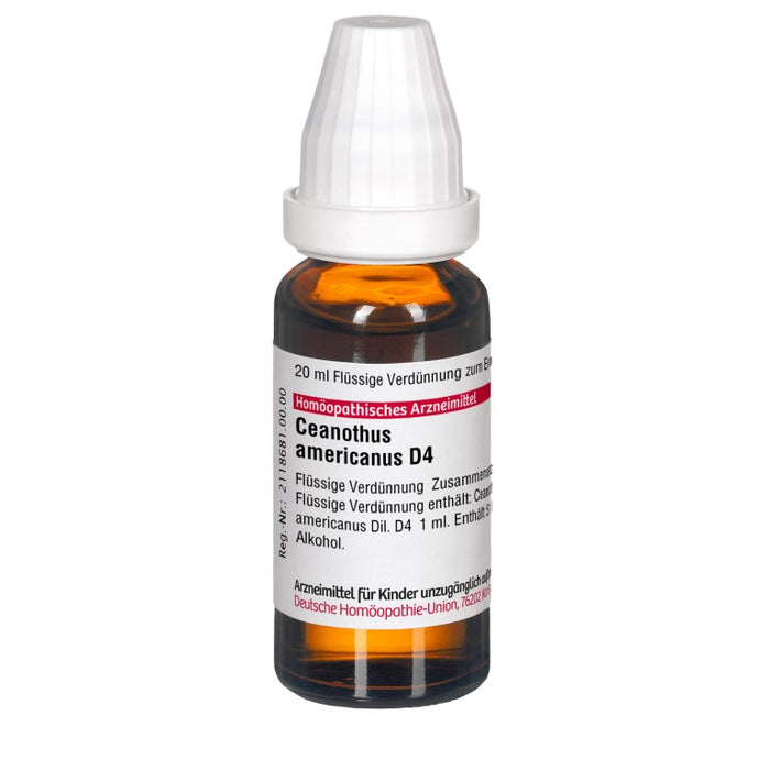 DHU Ceanothus americanus D4 Dilution, 20 ml Lösung