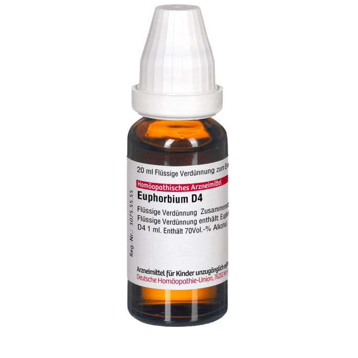 DHU Euphorbium D4 Dilution, 20 ml Lösung