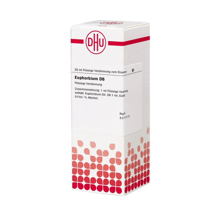 Euphorbium D6 DHU Dilution, 20 ml Lösung